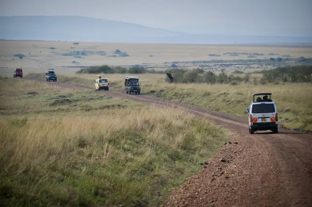 Safari vehicles exploring the Serengeti savanna with wildlife.