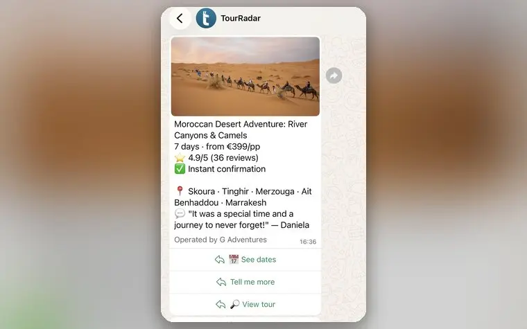 TourRadar on WhatsApp screenshot