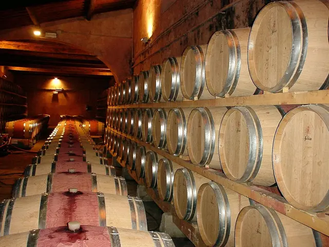 Food and wine tours in Italy - pasta and wine tasting